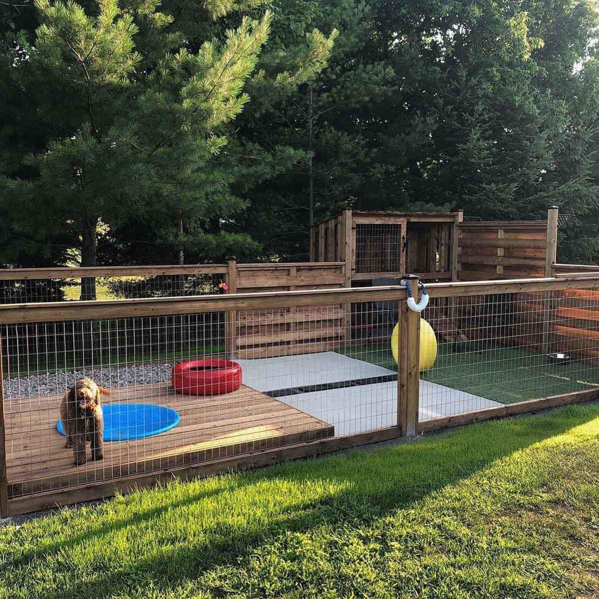 Dog House with Cage Front View